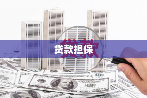 加查贷款担保