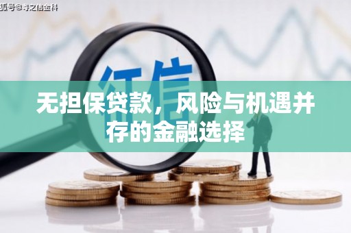 加查无担保贷款，风险与机遇并存的金融选择