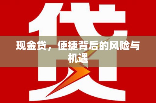 加查现金贷，便捷背后的风险与机遇