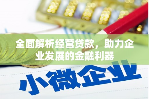 加查全面解析经营贷款，助力企业发展的金融利器