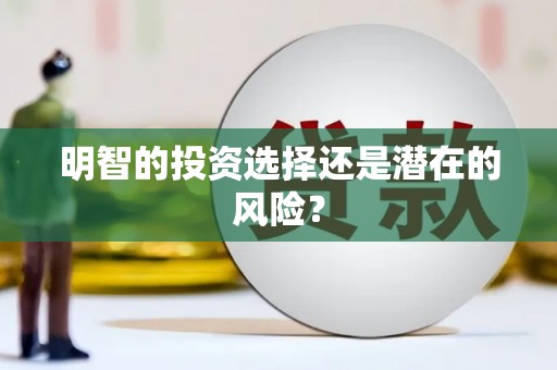 加查明智的投资选择还是潜在的风险？