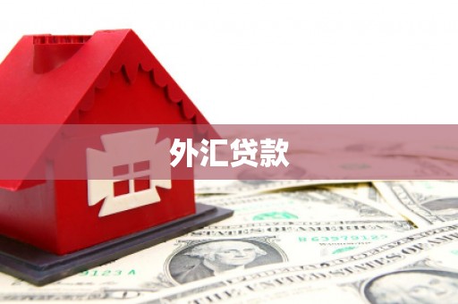 加查外汇贷款