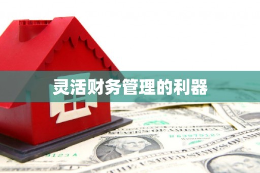 加查灵活财务管理的利器
