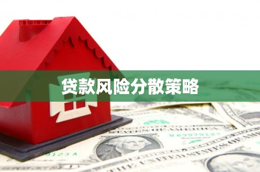 加查贷款风险分散策略