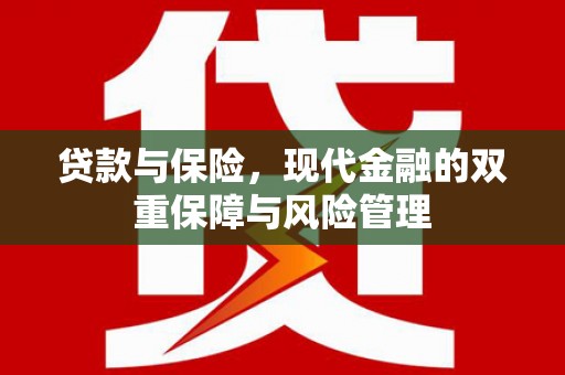 加查贷款与保险，现代金融的双重保障与风险管理