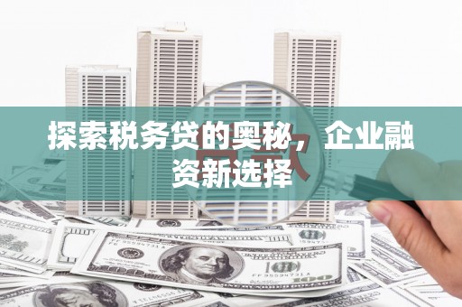 加查探索税务贷的奥秘，企业融资新选择