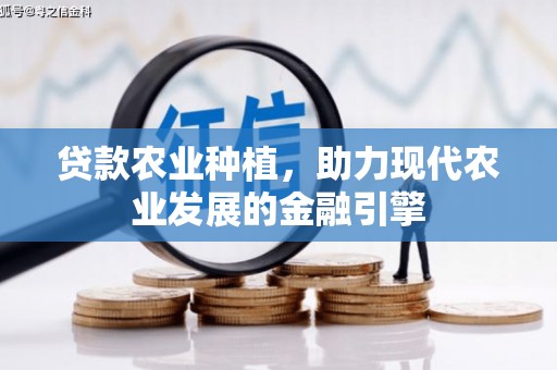 加查贷款农业种植，助力现代农业发展的金融引擎