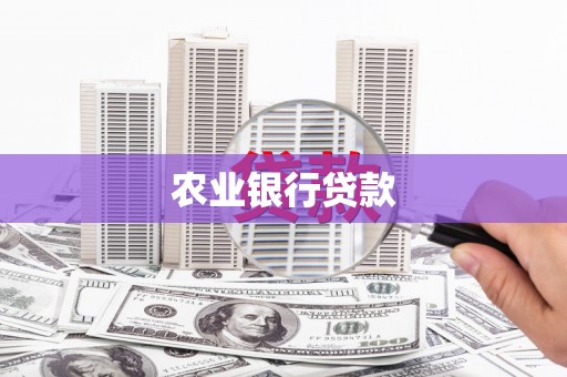 加查农业银行贷款