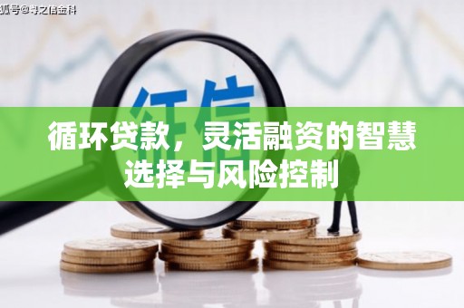 加查循环贷款，灵活融资的智慧选择与风险控制