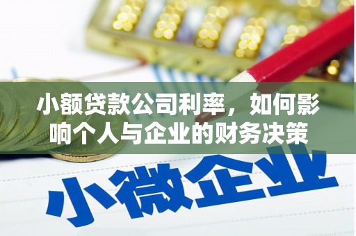 加查小额贷款公司利率，如何影响个人与企业的财务决策