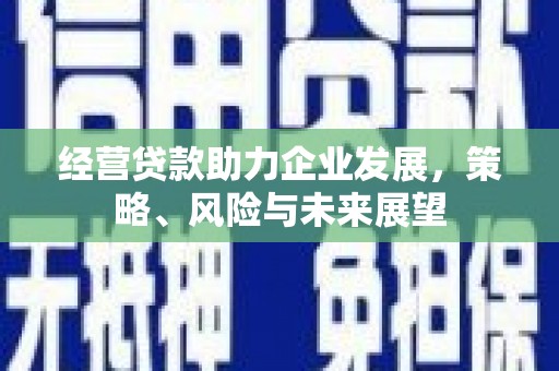 加查经营贷款助力企业发展，策略、风险与未来展望