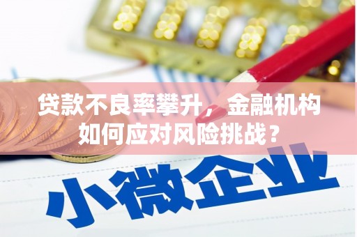 加查贷款不良率攀升，金融机构如何应对风险挑战？