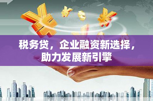 加查税务贷，企业融资新选择，助力发展新引擎
