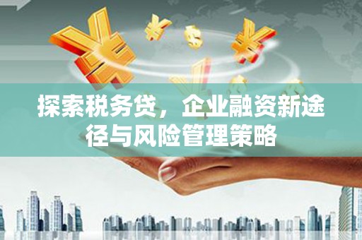 加查探索税务贷，企业融资新途径与风险管理策略