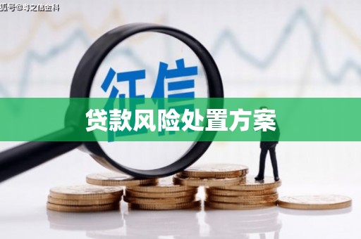 加查贷款风险处置方案
