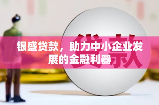 加查银盛贷款，助力中小企业发展的金融利器
