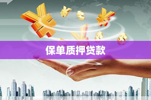 加查保单质押贷款