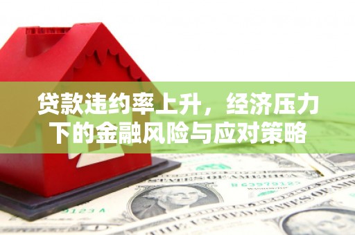 加查贷款违约率上升，经济压力下的金融风险与应对策略