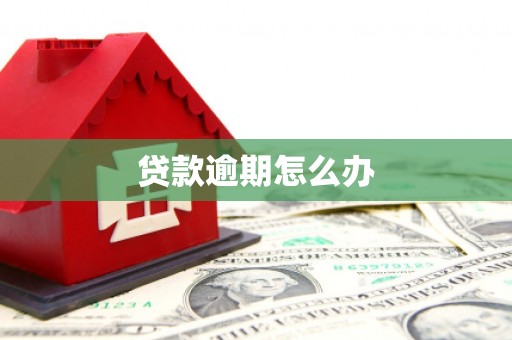加查贷款逾期怎么办
