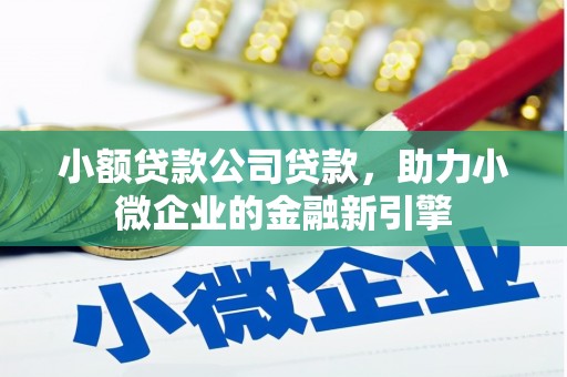 加查小额贷款公司贷款，助力小微企业的金融新引擎