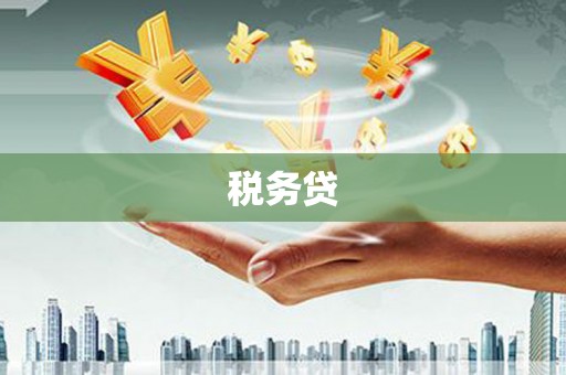 加查税务贷