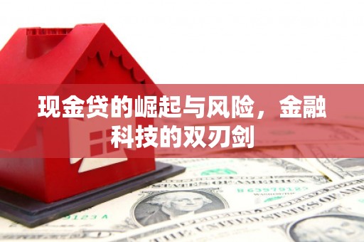 加查现金贷的崛起与风险，金融科技的双刃剑