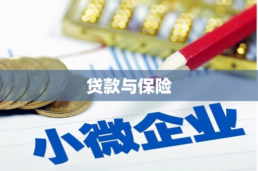 加查贷款与保险