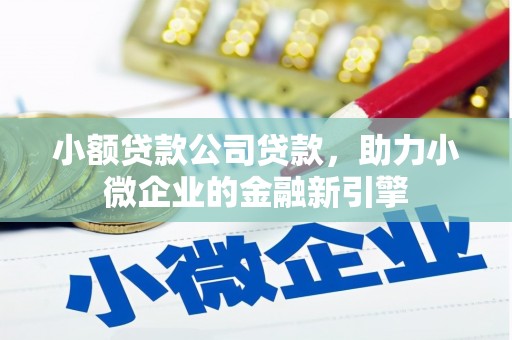 加查小额贷款公司贷款，助力小微企业的金融新引擎