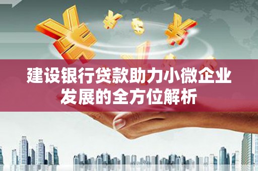 加查建设银行贷款助力小微企业发展的全方位解析