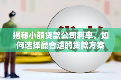加查揭秘小额贷款公司利率，如何选择最合适的贷款方案