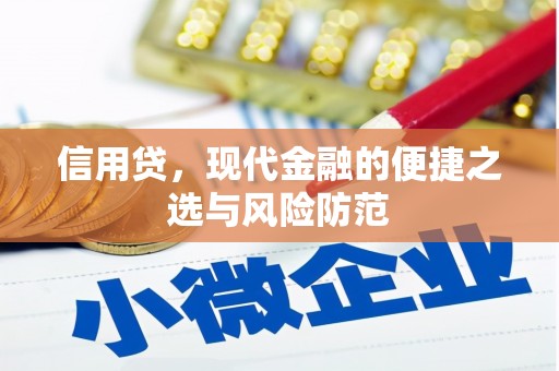 加查信用贷，现代金融的便捷之选与风险防范