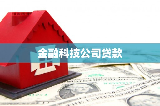 加查金融科技公司贷款