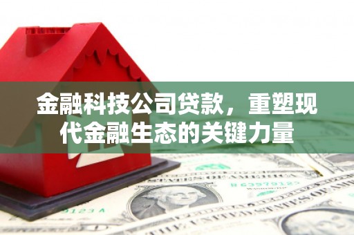 加查金融科技公司贷款，重塑现代金融生态的关键力量