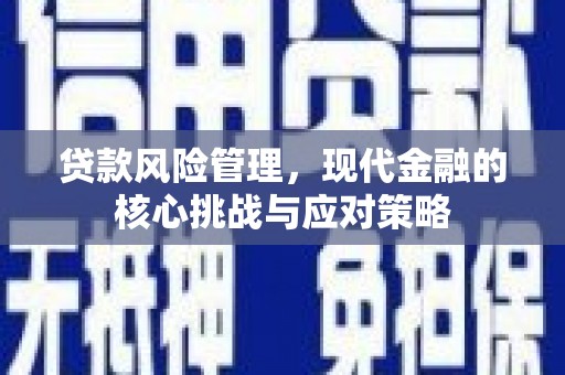 加查贷款风险管理，现代金融的核心挑战与应对策略