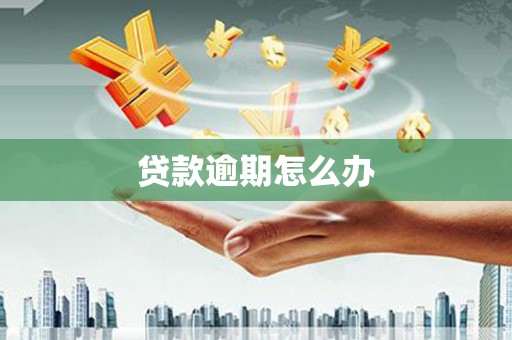 加查贷款逾期怎么办