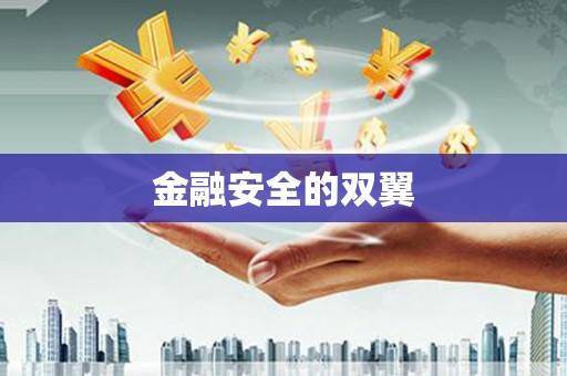 加查金融安全的双翼