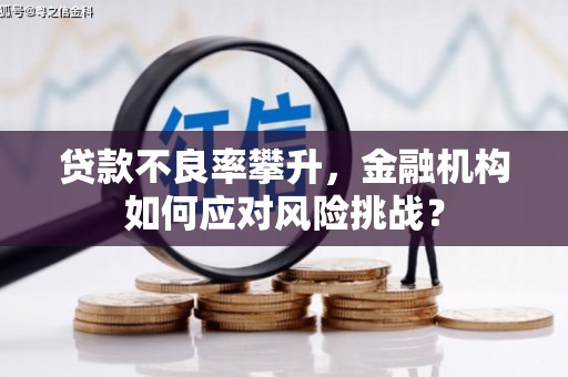 加查贷款不良率攀升，金融机构如何应对风险挑战？