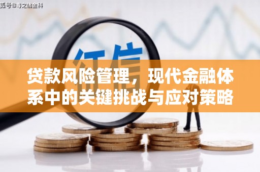 加查贷款风险管理，现代金融体系中的关键挑战与应对策略