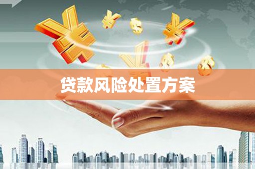 加查贷款风险处置方案
