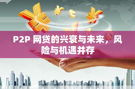 加查P2P 网贷的兴衰与未来，风险与机遇并存