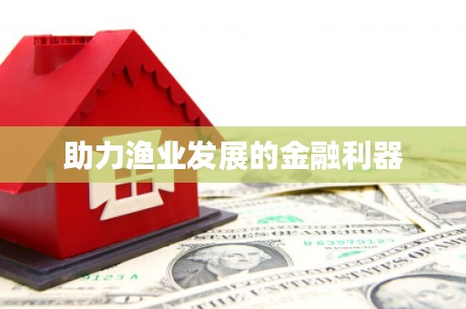 加查助力渔业发展的金融利器