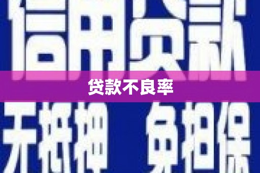 加查贷款不良率