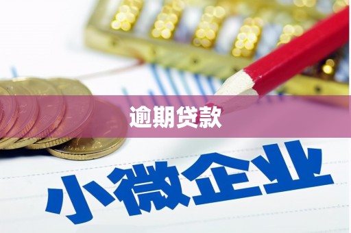 加查逾期贷款