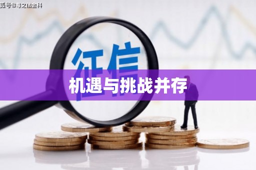 加查机遇与挑战并存