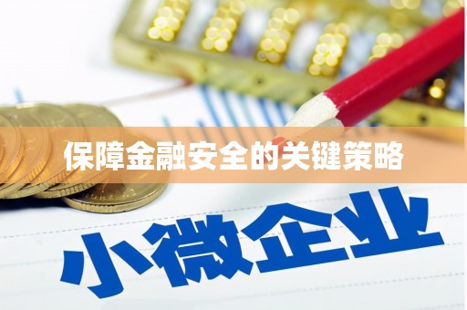 加查保障金融安全的关键策略