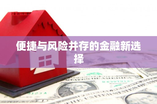 加查便捷与风险并存的金融新选择