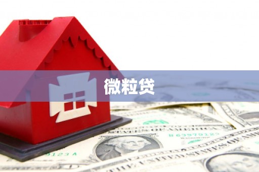 加查微粒贷