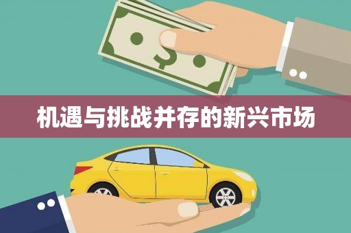 加查机遇与挑战并存的新兴市场