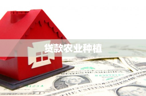 加查贷款农业种植