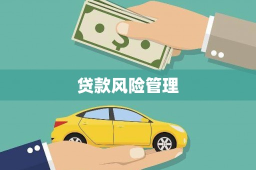 加查贷款风险管理